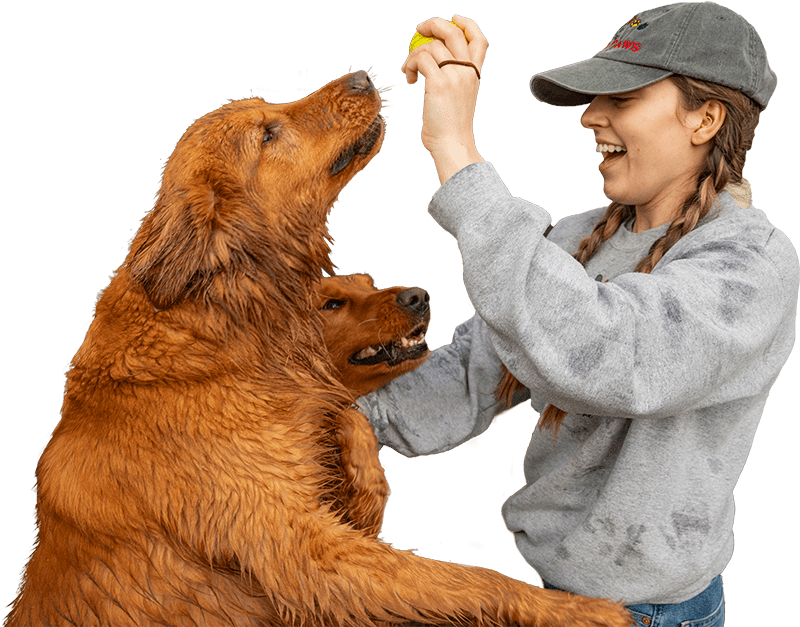 Dog Daycare and Boarding in Oklahoma city | Vera's Posh Paws