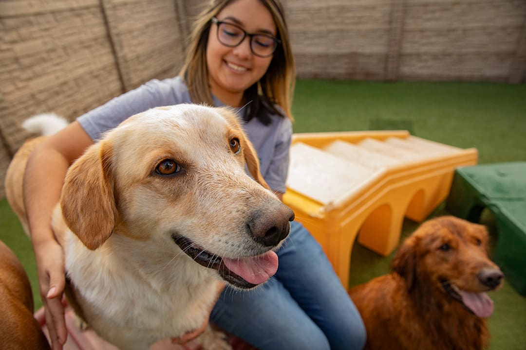 A dog sits happily with a Vera's Posh Paws employee in one of the outdoor areas at Vera's dog daycare.
