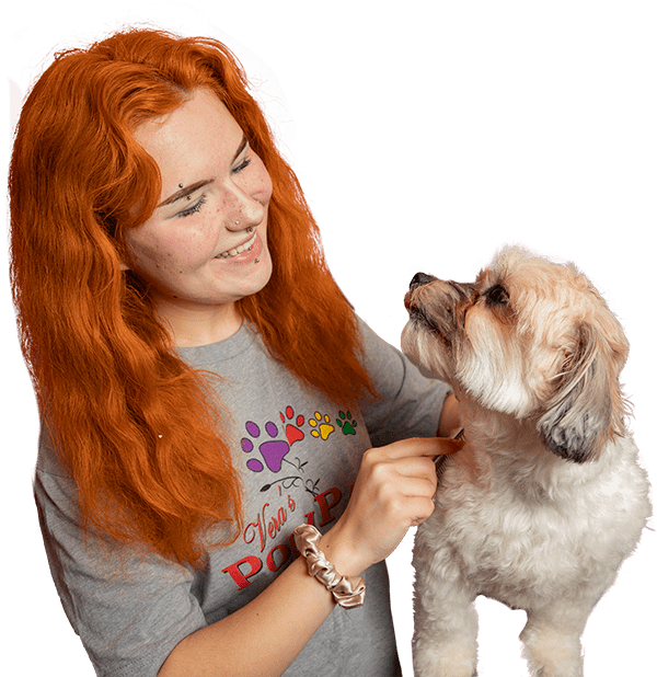 Vera's Posh Paws employee grooming a small white dog