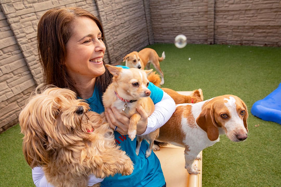 Vera, owner of Vera's Posh Paws, holds two small dogs outside while celebrating Easter.